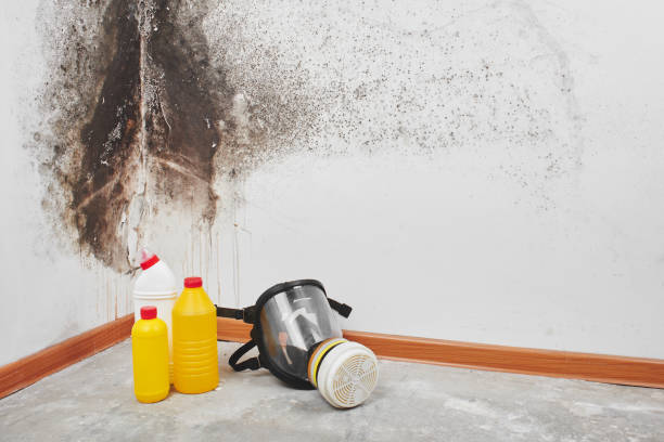 Mold Documentation for Insurance Claims in Alpine, UT